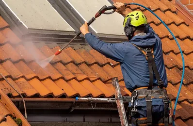 Démoussage et hydrofuge de toiture à Aurin